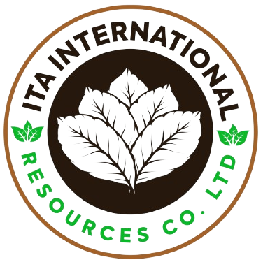 ITA Logo